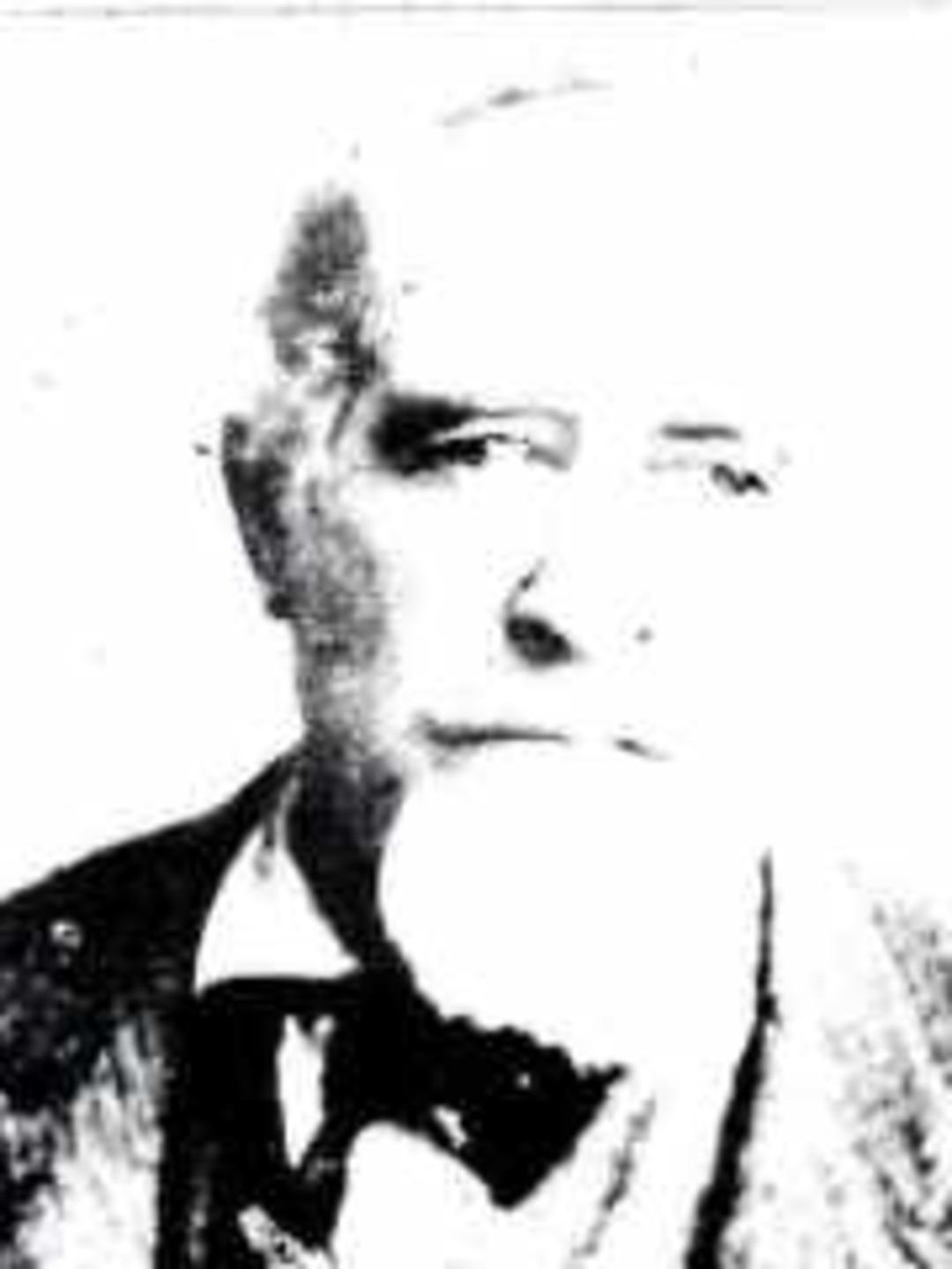 Henry Dalton (1825 - 1906) Profile